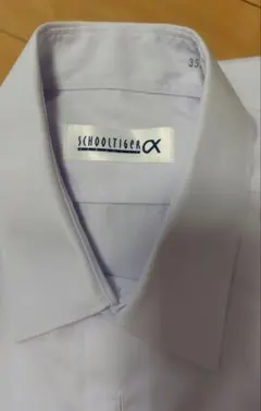 Item thumbnail for item 2ca4a764-9be2-423b-91d2-3a44299b2d05