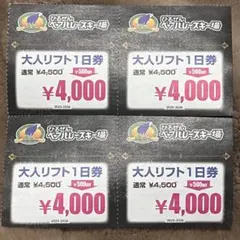岡山 ひるぜんベアバレースキー場 リフト割引券4枚セット 6000円分