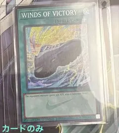 2026年最新】ナイキ 遊☆戯☆王の人気アイテム - メルカリ