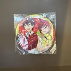 あんスタ 流星隊 Switch CD購入特典缶バッジ 守沢千秋 逆先夏目