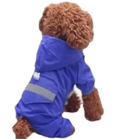 Item thumbnail for item 8fde8c2b-b265-42ca-a14e-0c5d61c76621