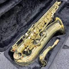 2025年最新】mavisサックスの人気アイテム - メルカリ