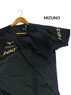 Item thumbnail for item a81b2f55-e1a1-475b-98da-bed8810c1966