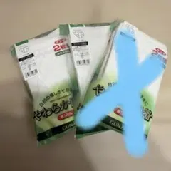 グンゼ　やわらか肌着　ブリーフ Sサイズ