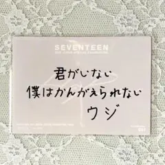 SEVENTEEN ウジ HARE メッセージ トレカ