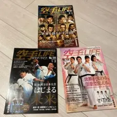 Item thumbnail for item 95967268-a13d-4df3-9962-5ab299a8d361