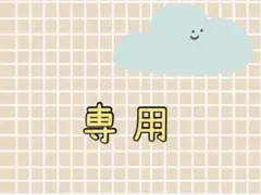 チコ太郎様 リクエスト 2点 まとめ商品
