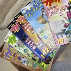 チャレンジカガク組 4年生(下期)