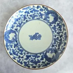 古伊万里　染付　七寸皿　椿　江戸時代　窓絵　骨董　アンティーク 古伊万里（藍九谷様式）椿文中皿 5枚 江戸時代中期頃 | 古美術ささき