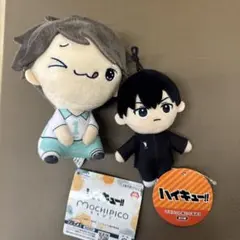 【おまけにトビオ君付き】ハイキュー　もちぴこぬいぐるみ　及川徹