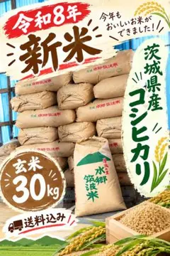 期間限定 お買得 茨城県産 令和8年 コシヒカリ 玄米 30kg - メルカリ