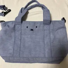 Item thumbnail for item 1126bbfa-2cc5-40e1-8803-8b7e0faca153