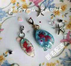 金魚　チャーム　2個セット　Dのサムネイル
