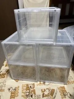 bcl 収納ボックス　シューズケース　5個セット