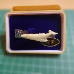 2026年最新】クジラの歯の人気アイテム - メルカリ