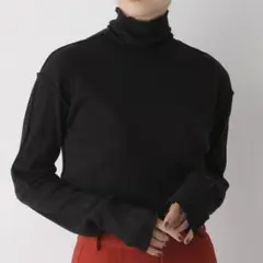 メローテレコタートルLS ブラック