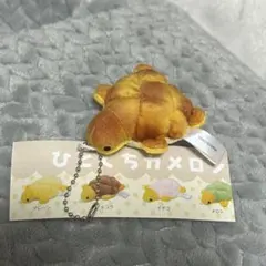 江ノ島水族館 ひとくち カメロンパン　シークレット　焼きたて　限定　新江ノ島