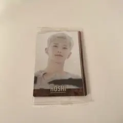 BANDAI SEVENTEEN SVTツインウエハース hoshi