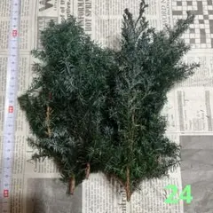 Ha-chan♡様 リクエスト 2点 まとめ商品