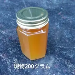 日本みつばちの蜂蜜 200グラム