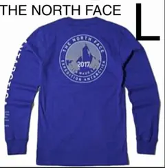 海外限定　ノースフェイス　アンタークティカ  ロング　スリーブ　Tシャツ　ロンT