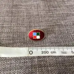 1980 消費者問題神戸会議　ピンバッチ