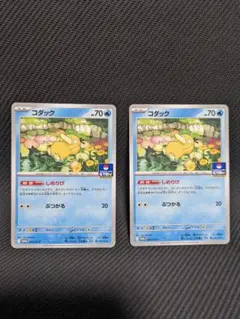 コダック　しめりけ 　２枚セット