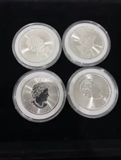 カナダ メイプルリーフ銀貨 1オンス 5枚 純銀99.99% クリアケース入り