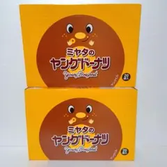 宮田製菓　ミヤタのヤングドーナツ　 20袋入 　2箱セット