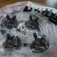 ブラックラビット シークレット