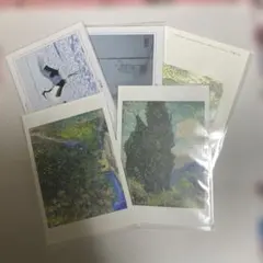 風景画・動物ポストカード5枚セット