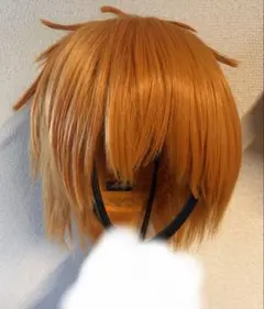 朝倉シン コスプレ ウィッグ - メルカリ