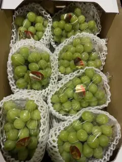 希少【岡山県産】ハウス栽培高級シャインマスカット 大粒 5kg - メルカリ
