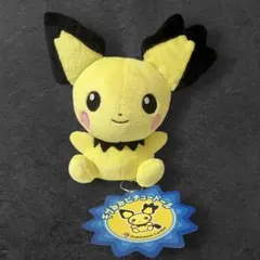 劇場版限定】 ピチュー 兄 ぬいぐるみ 等身大 1分の1ぬいぐるみ - メルカリ