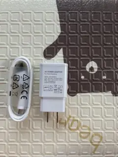 急速充電 AC電源アダプターとケーブル
