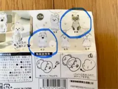 わんこのタイムカプセル