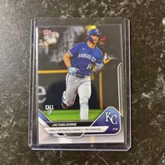 Item thumbnail for item e28e8b64-0d0d-407c-a421-932cb9f364cd