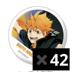 ハイキュー 日向翔陽 横断幕 缶バッジ