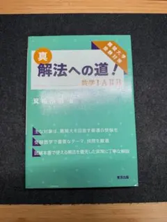 真 解法への道！ 第2版 数学IAIIBC 箕輪浩嗣 - メルカリ