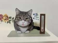 猫ちゃん 温度計付き カード