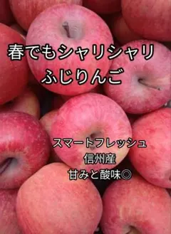 鮮度長持ち】信州産 ふじりんご2キロ スマートフレッシュ 家庭用