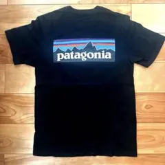 ぶー様専用　patagonia ブラック Tシャツ S