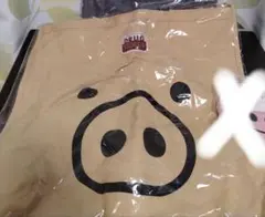 Item thumbnail for item 2195826f-dc21-4338-b591-355824bd2ab1