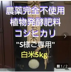 令和7年産新米＊農家力作⭐︎新潟とちおのコシヒカリ玄米風袋込み25kg
