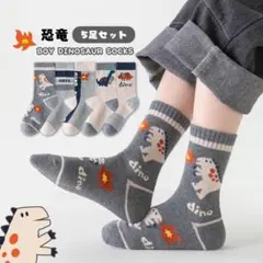 まとめて売り　新品 子供靴下 5足セット 男の子　恐竜　通学　保育園　ソックス