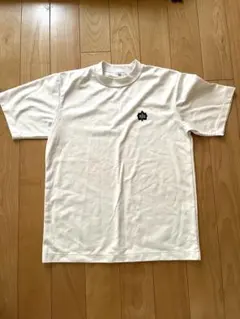 Item thumbnail for item 21ff25ee-bbaf-4774-ac06-70847888994a