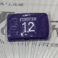 INI XQUARE カプセルトイ 許豊凡 リストバンド