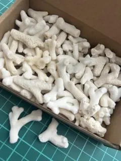 こっこ様 リクエスト 2点 まとめ商品