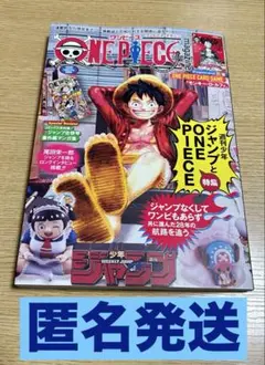 ワンピースマガジン20 カードなし　ONE PIECE magazine