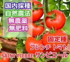 キキ様 リクエスト 2点 まとめ商品